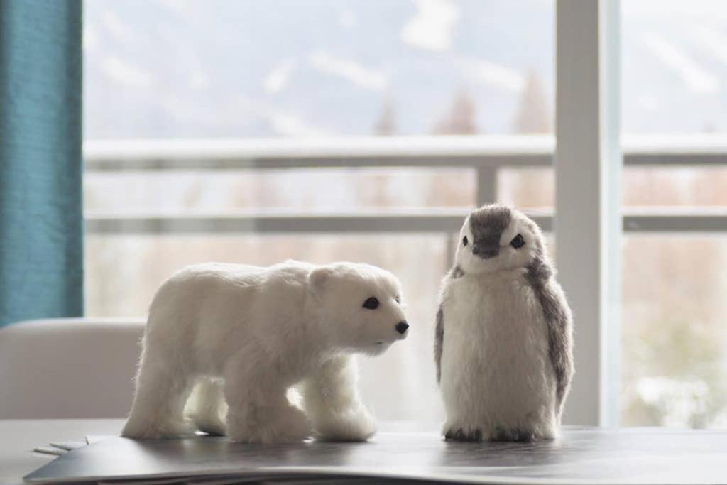 Initial - Forest Friends - Mont-Sainte-Anne Beaupré Dış mekan fotoğraf